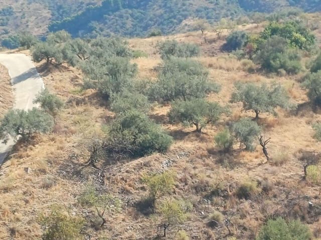Terrain à Bâtir à vendre à Moclinejo - 45 000 € (Ref: 10033421)