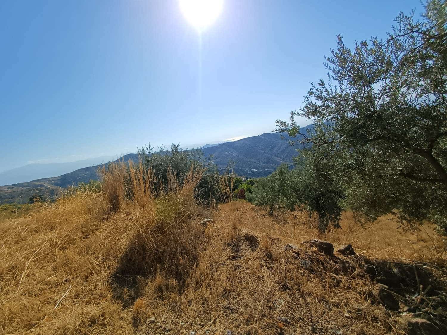 Terrain à Bâtir à vendre à Moclinejo - 45 000 € (Ref: 10033421)
