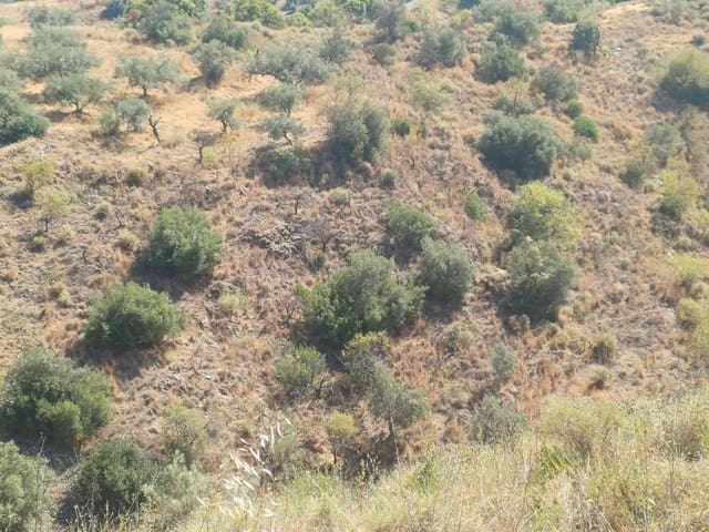 Terrain à Bâtir à vendre à Moclinejo - 45 000 € (Ref: 10033421)