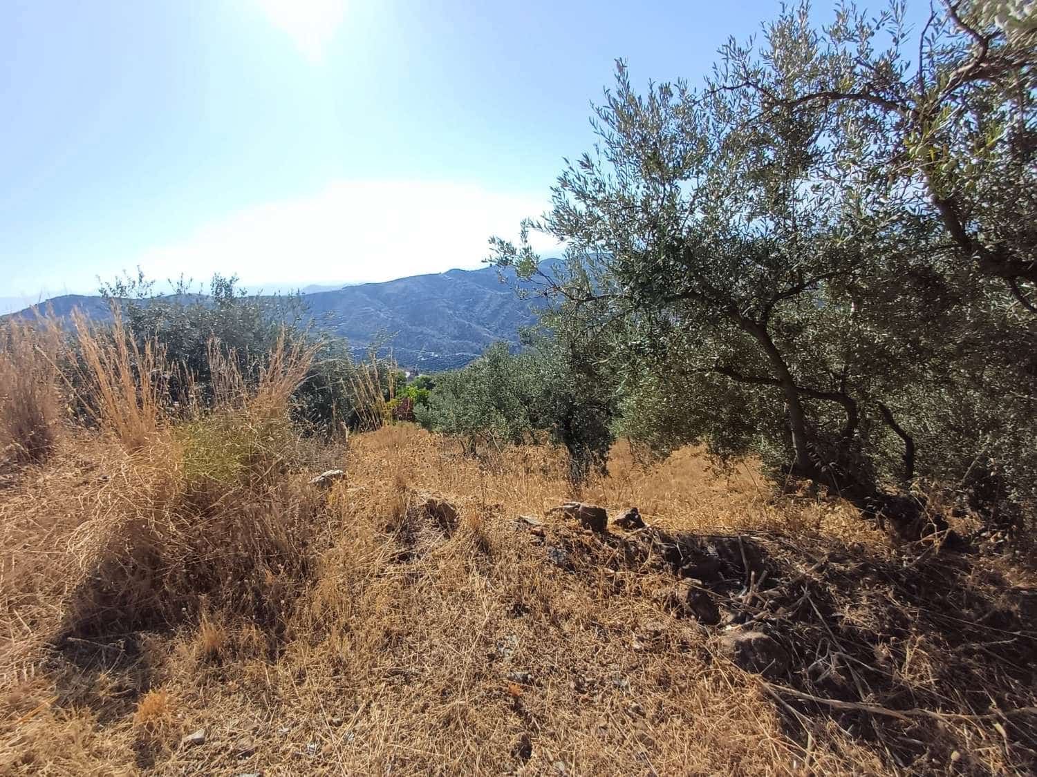 Terrain à Bâtir à vendre à Moclinejo - 45 000 € (Ref: 10033421)