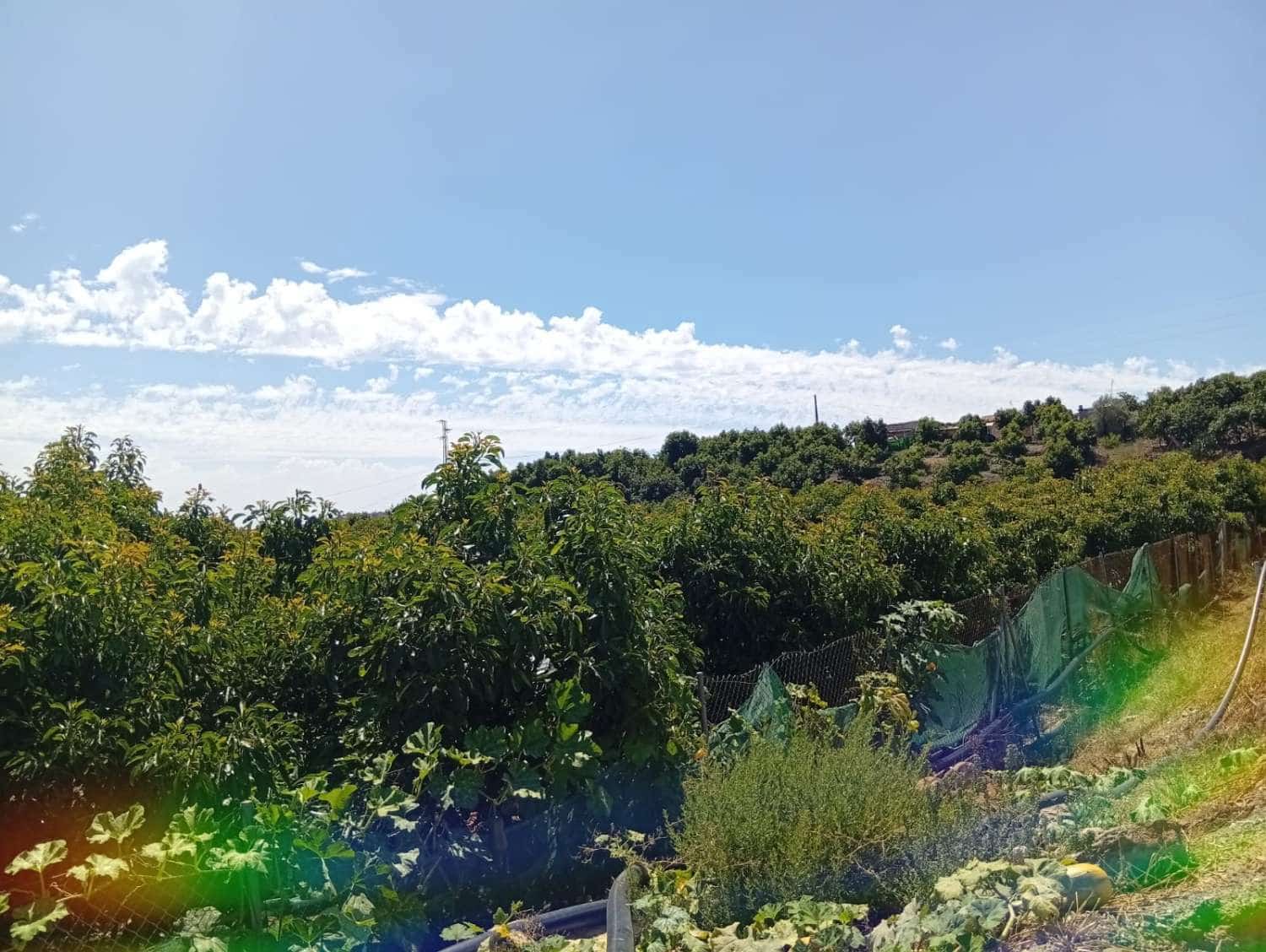 Terrain à Bâtir à vendre à Velez-Malaga - 165 000 € (Ref: 10036325)