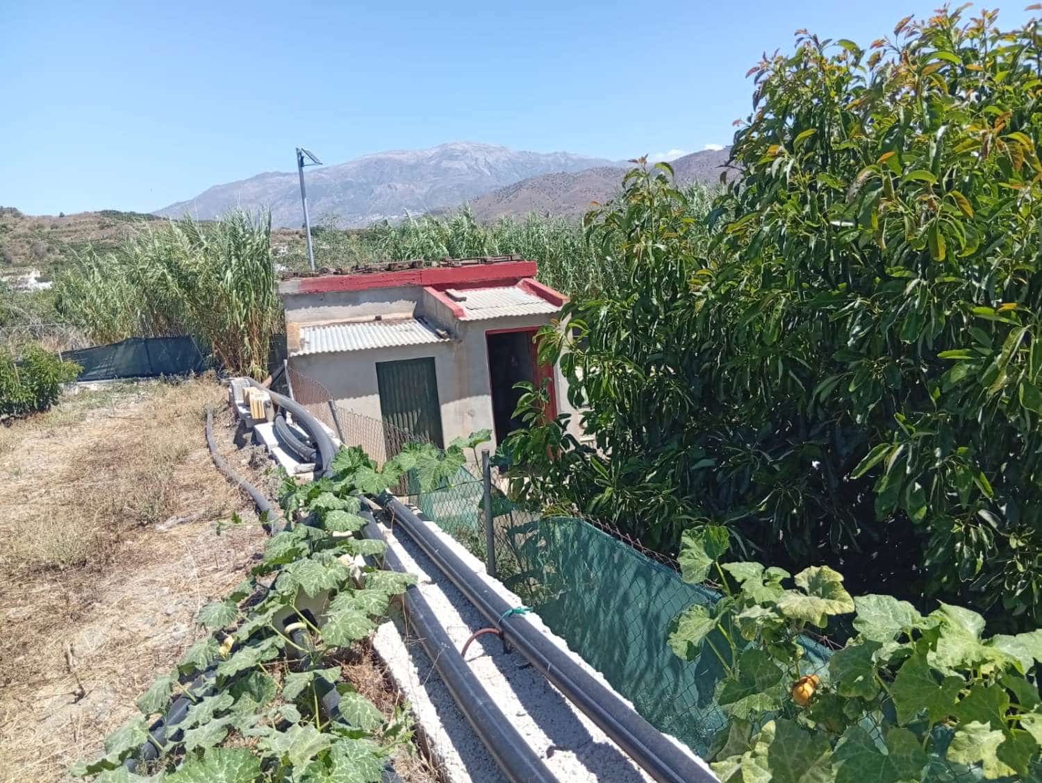 Terrain à Bâtir à vendre à Velez-Malaga - 165 000 € (Ref: 10036325)