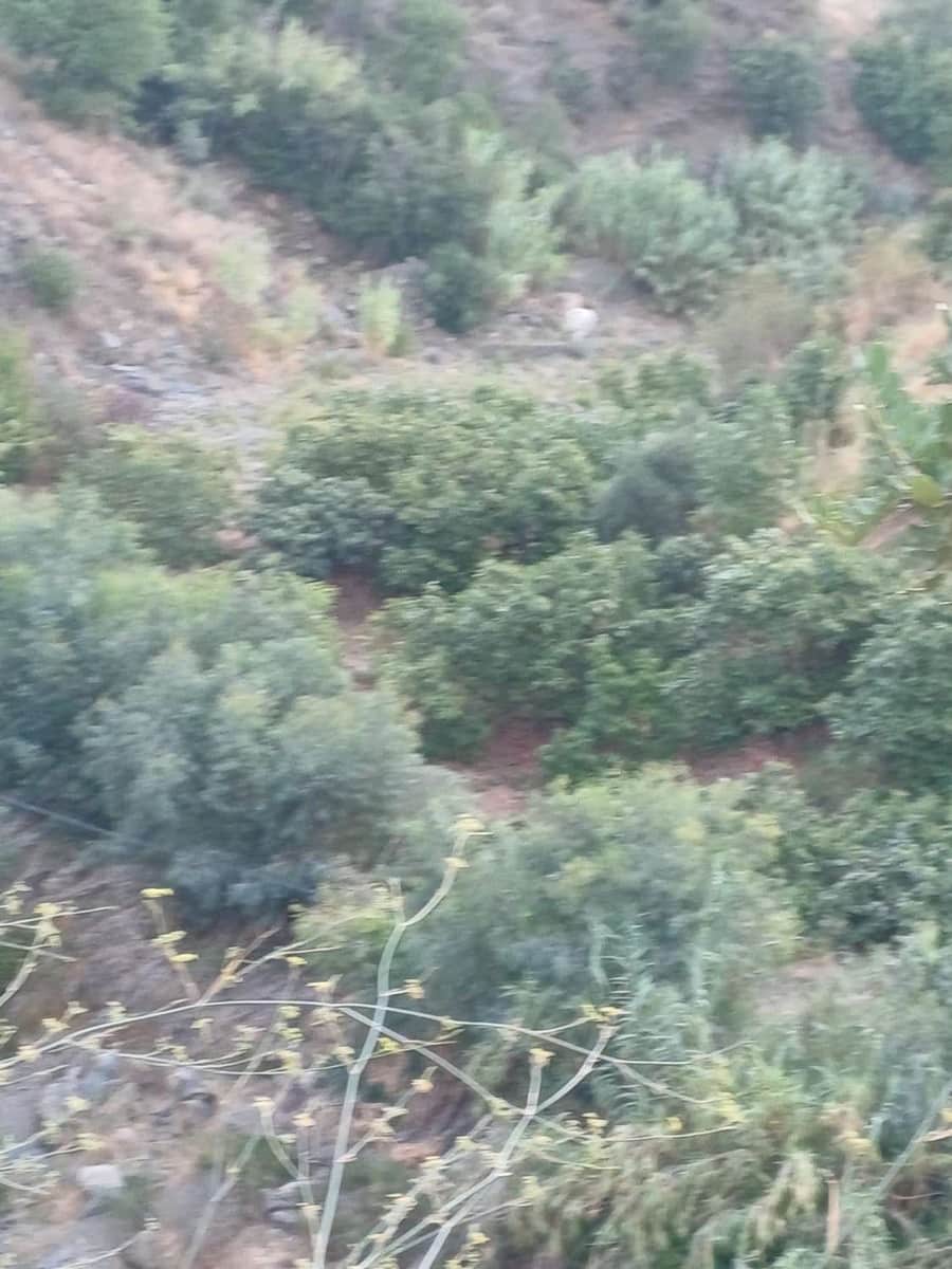 Bauplatz zu verkaufen in Comares - 160.000 € (Ref: 10061242)