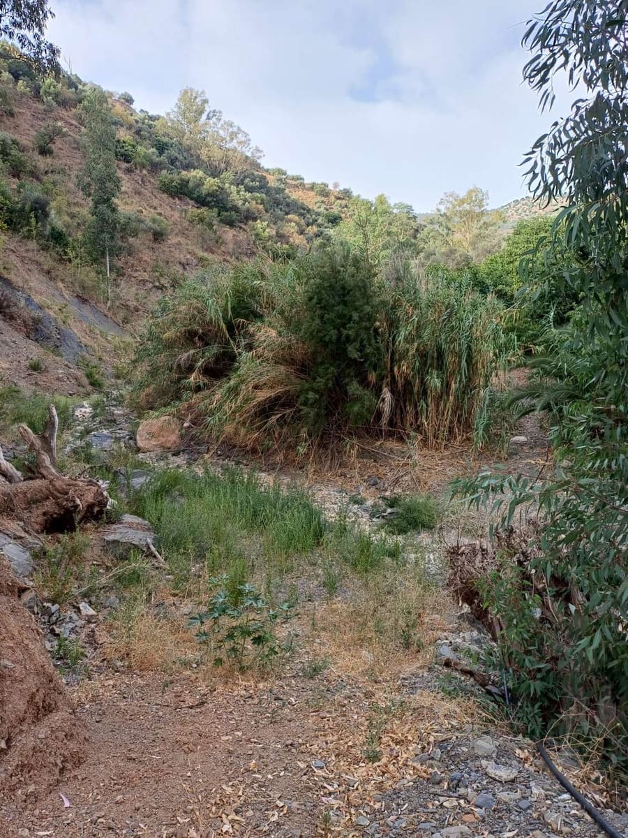 Bauplatz zu verkaufen in Comares - 160.000 € (Ref: 10061242)