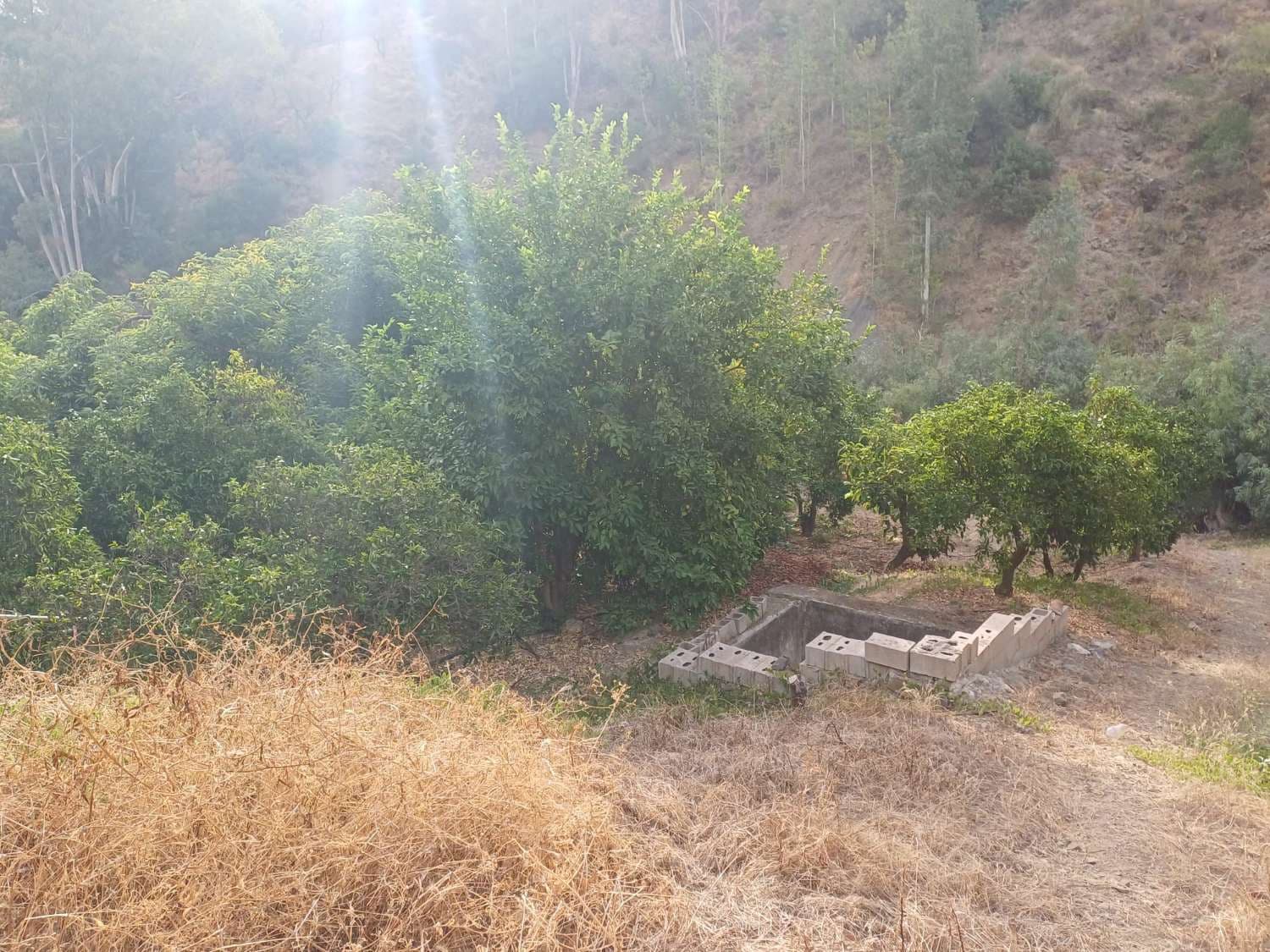 Bauplatz zu verkaufen in Comares - 160.000 € (Ref: 10061242)