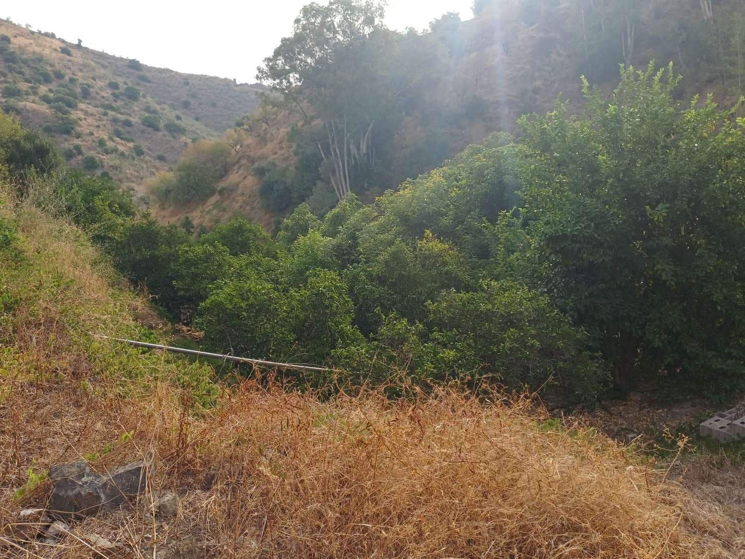 Bauplatz zu verkaufen in Comares - 160.000 € (Ref: 10061242)
