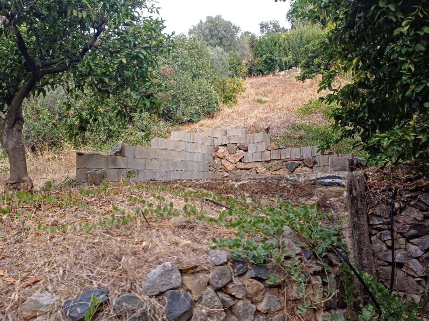 Bauplatz zu verkaufen in Comares - 160.000 € (Ref: 10061242)