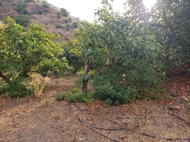 Tomt till salu i Comares - 160 000 € (Ref: 10061242)