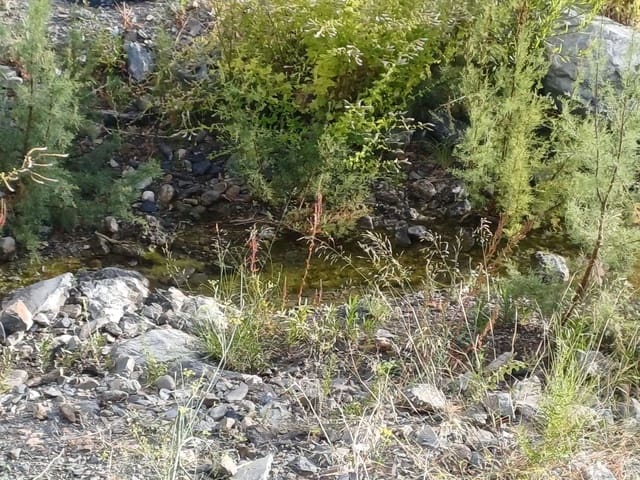 Tomt till salu i Comares - 160 000 € (Ref: 10061242)