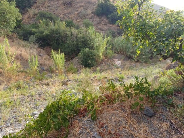Tomt till salu i Comares - 160 000 € (Ref: 10061242)
