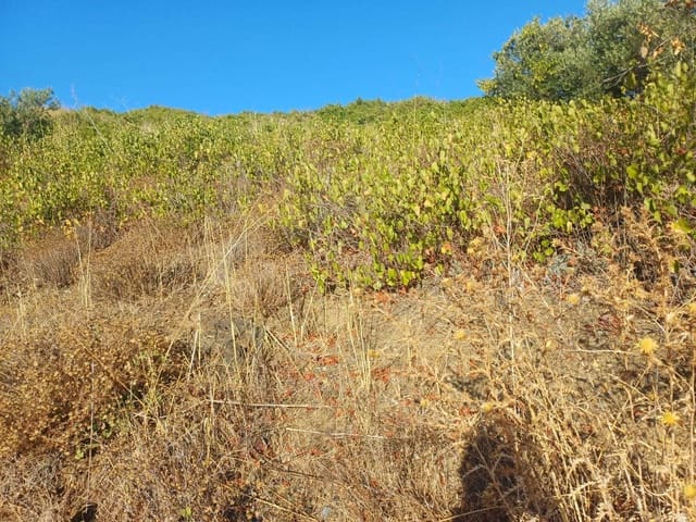 Building Plot for sale in Cútar - € 16,500 (Ref: 10094161)