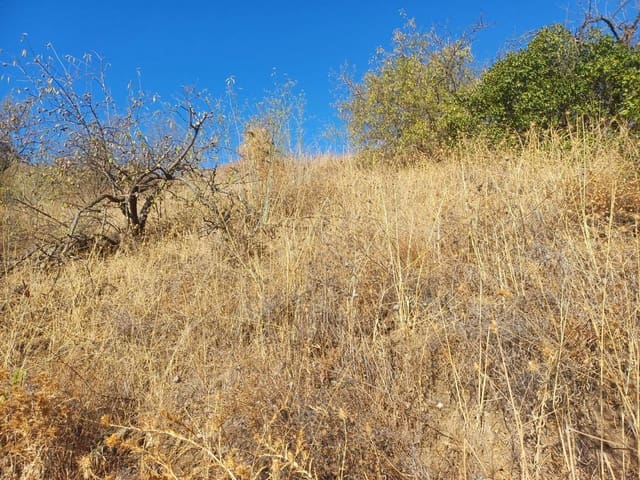 Building Plot for sale in Cútar - € 16,500 (Ref: 10094161)
