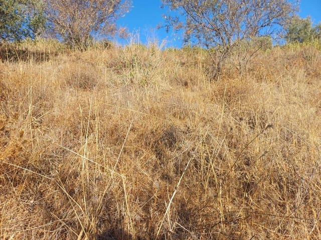 Building Plot for sale in Cútar - € 16,500 (Ref: 10094161)