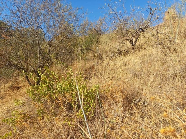 Building Plot for sale in Cútar - € 16,500 (Ref: 10094161)