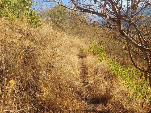 Building Plot for sale in Cútar - € 16,500 (Ref: 10094161)