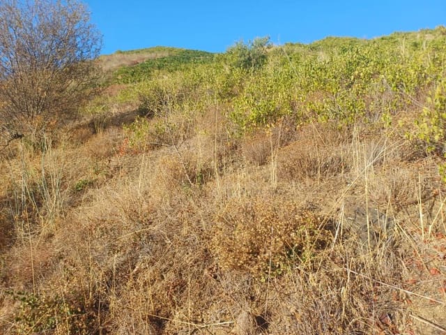 Building Plot for sale in Cútar - € 16,500 (Ref: 10094161)