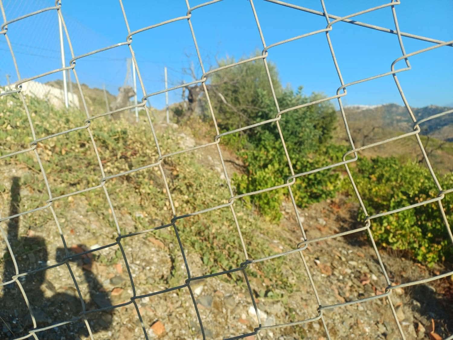 Area Edificabile in vendita in Cutar - 19.500 € (Rif: 10094163)