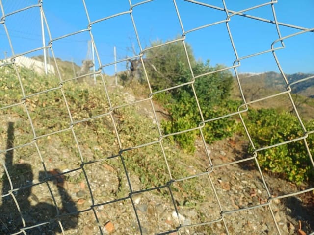 Building Plot for sale in Cútar - € 19,500 (Ref: 10094163)