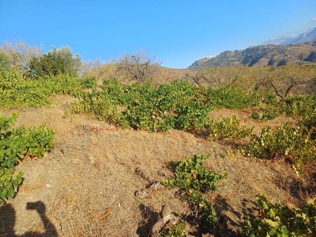 Building Plot for sale in Cútar - € 19,500 (Ref: 10094163)