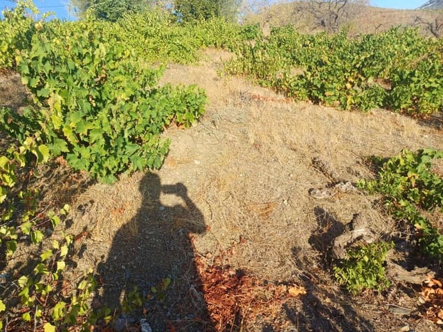 Building Plot for sale in Cútar - € 19,500 (Ref: 10094163)
