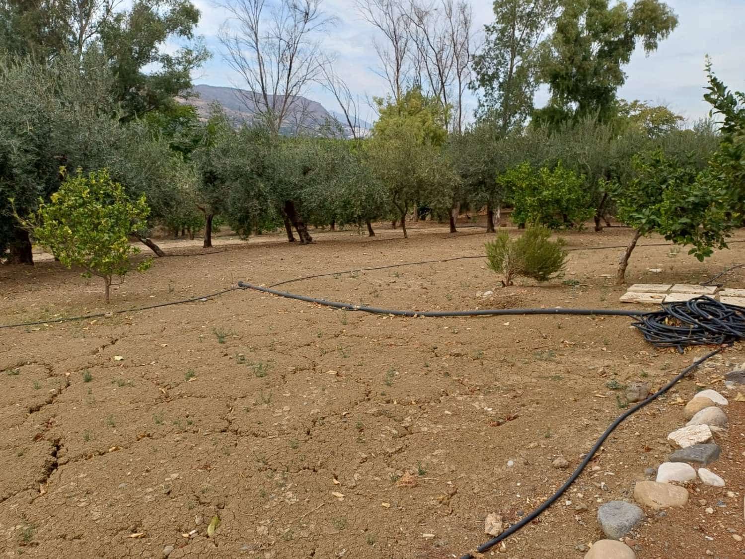 14 bedroom Finca/Country House for sale in Pizarra with pool garage - € 770,000 (Ref: 10131148)