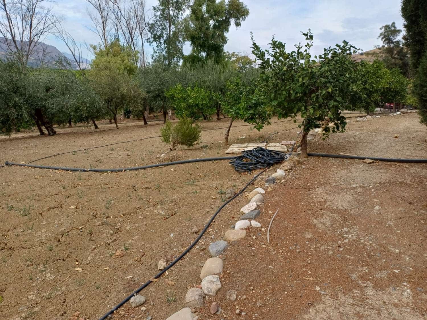 14 bedroom Finca/Country House for sale in Pizarra with pool garage - € 770,000 (Ref: 10131148)