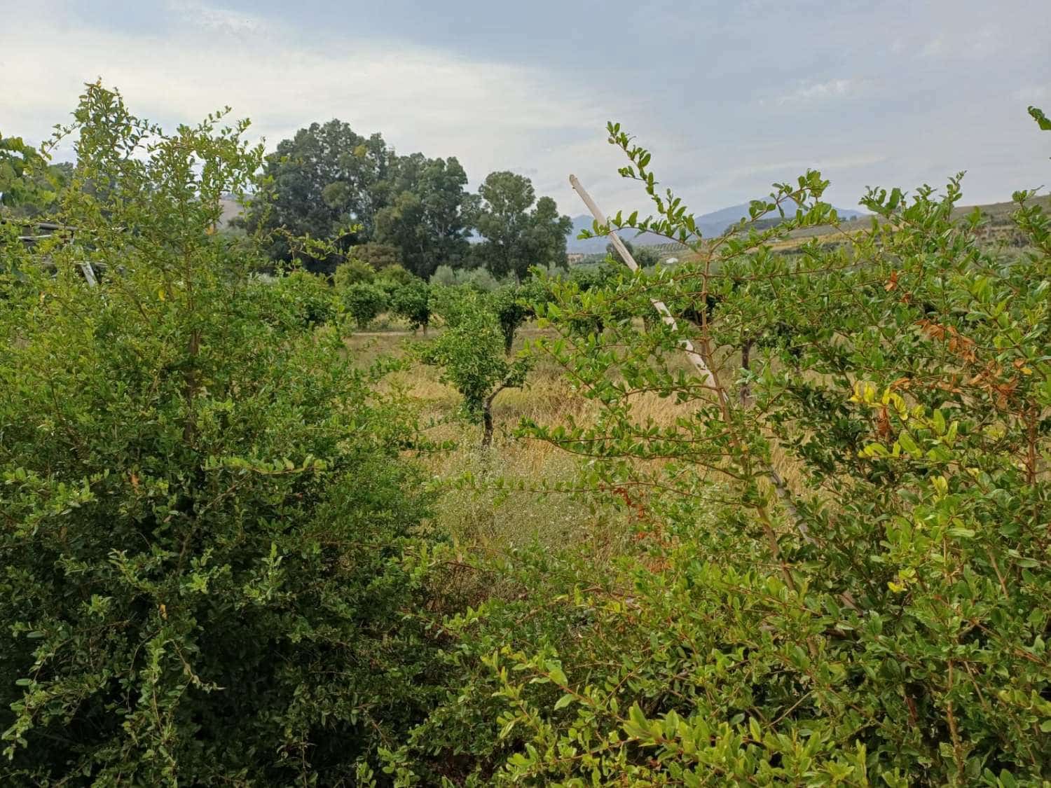 6 bedroom Finca/Country House for sale in Pizarra with garage - € 550,000 (Ref: 10133033)