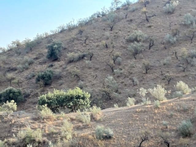 Finca/Casa Rural en Rincón de la Victoria en venta - 52.000 € (Ref: 10145736)