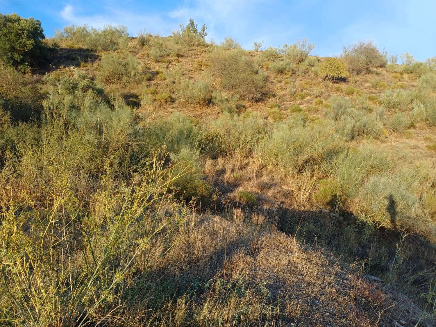 Finca/Landehus til salg i Moclinejo - € 27.000 (Ref: 10148282)