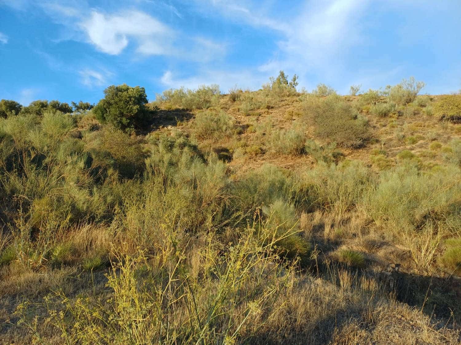 Finca/Landehus til salg i Moclinejo - € 27.000 (Ref: 10148282)