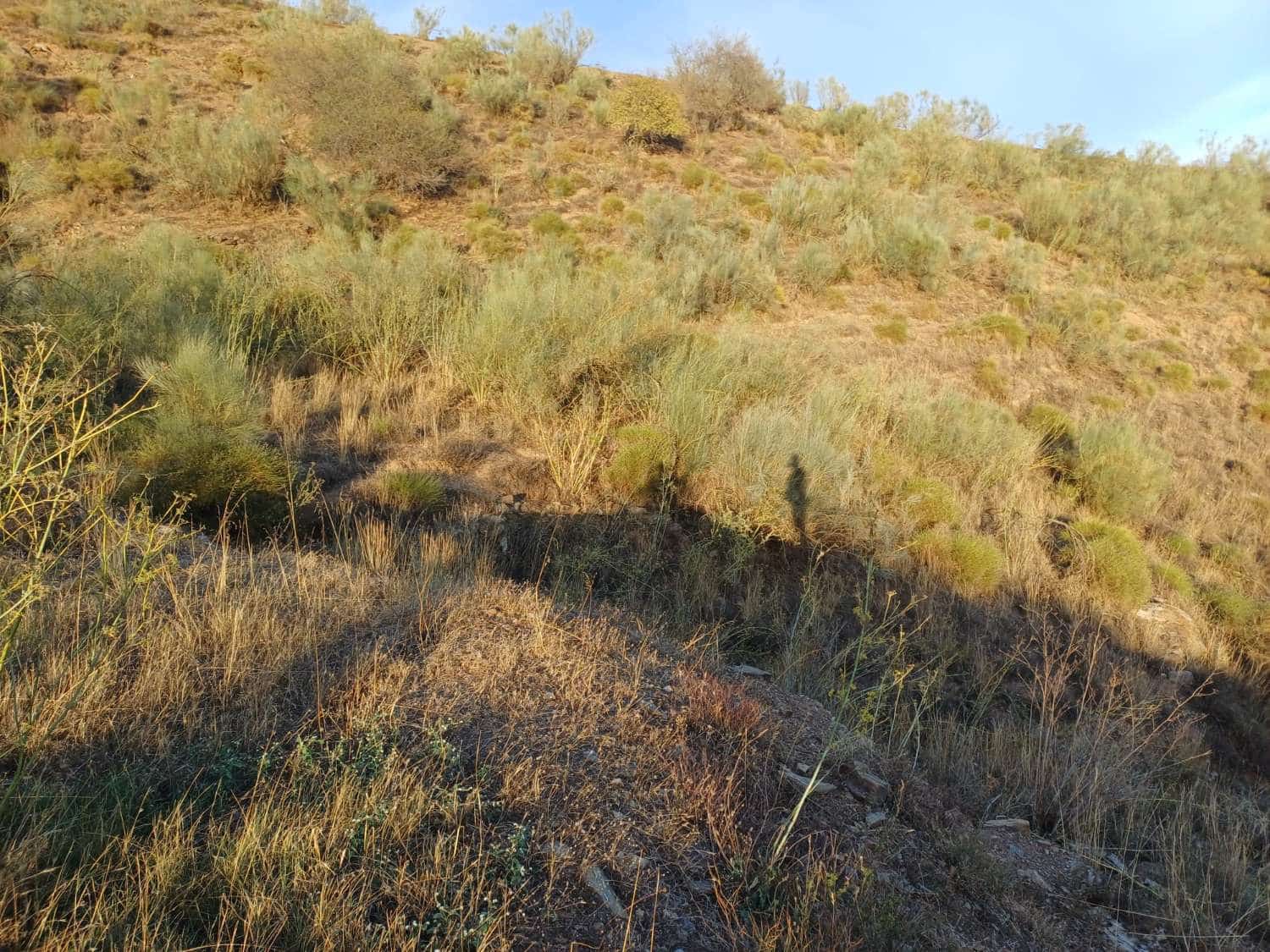 Finca/Landehus til salg i Moclinejo - € 27.000 (Ref: 10148282)