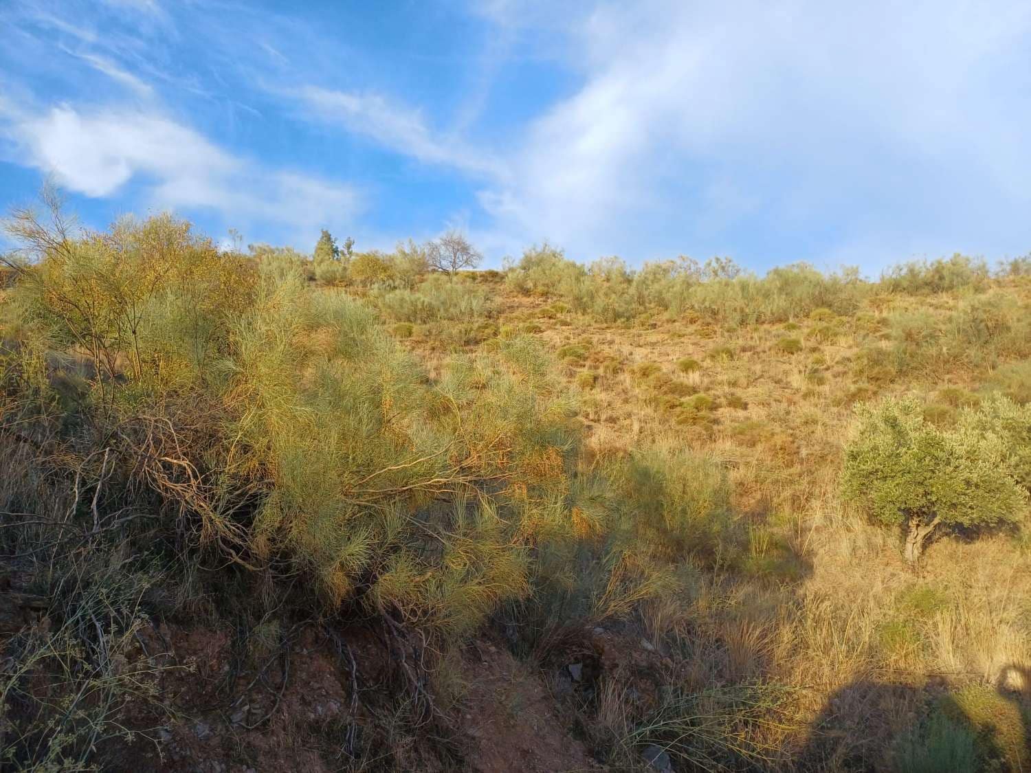 Finca/Landehus til salg i Moclinejo - € 27.000 (Ref: 10148282)