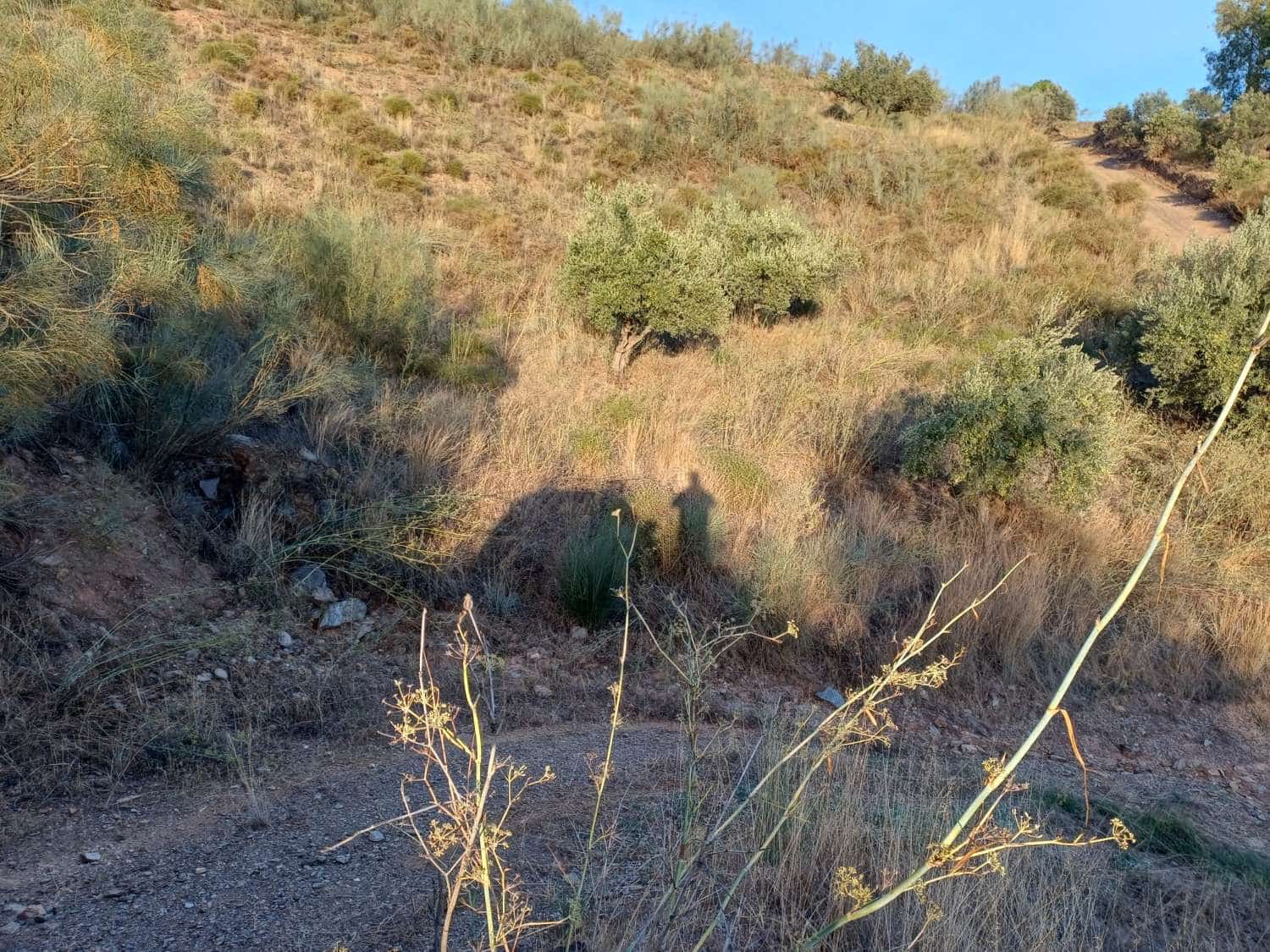 Finca/Landehus til salg i Moclinejo - € 27.000 (Ref: 10148282)
