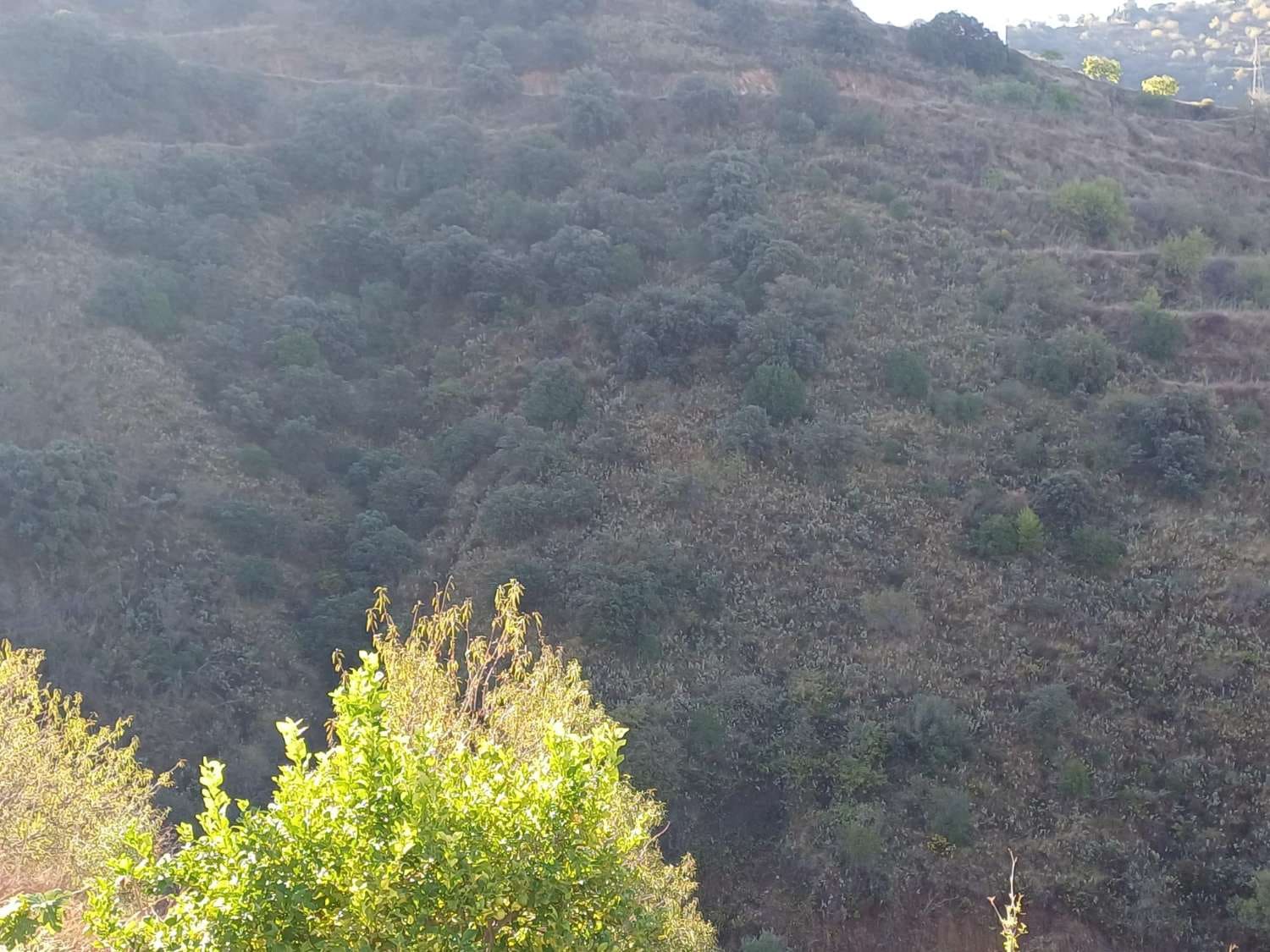 3 soveværelse Finca/Landehus til salg i Malaga by - € 170.000 (Ref: 10157195)