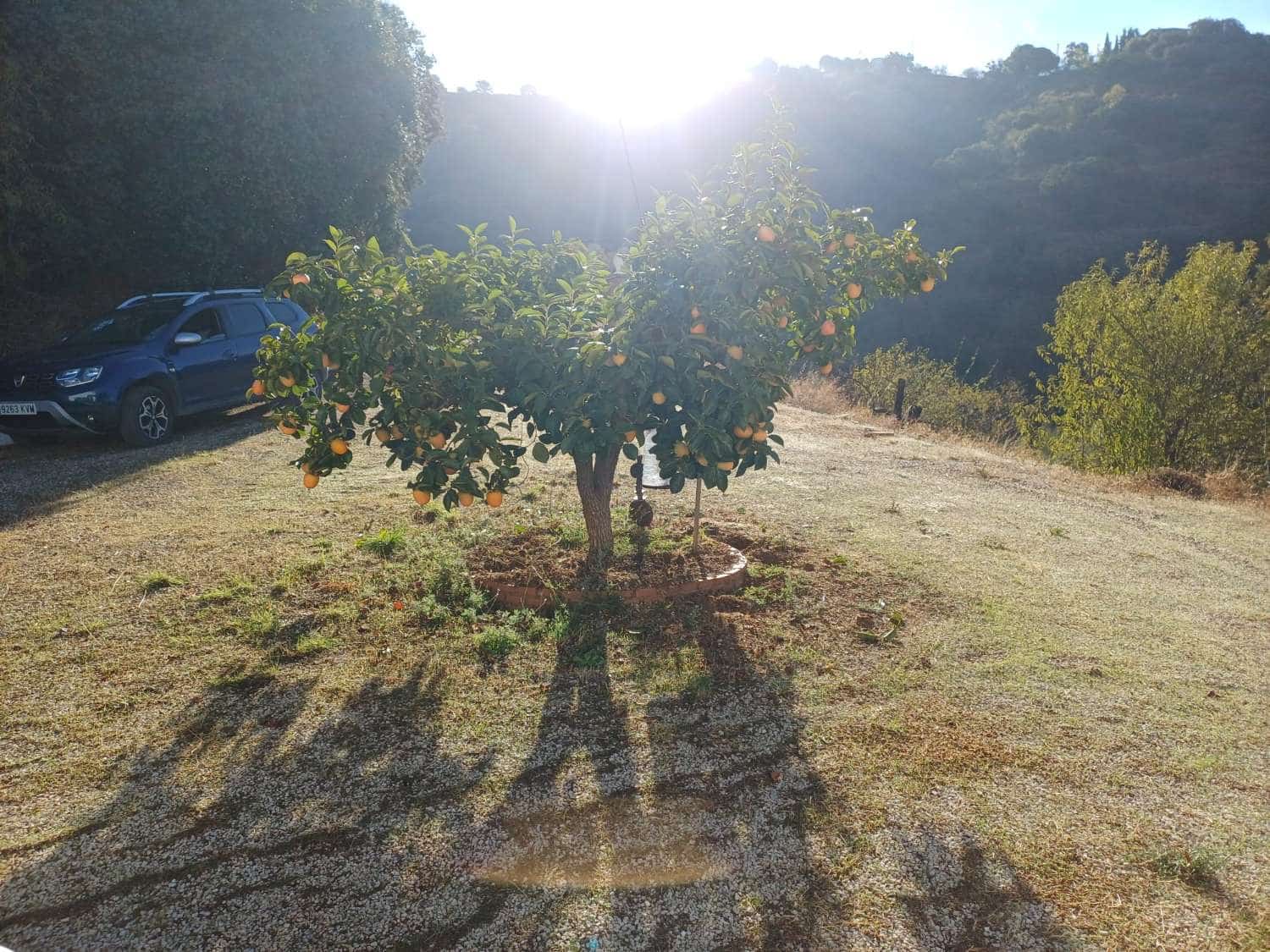 3 soveværelse Finca/Landehus til salg i Malaga by - € 170.000 (Ref: 10157195)