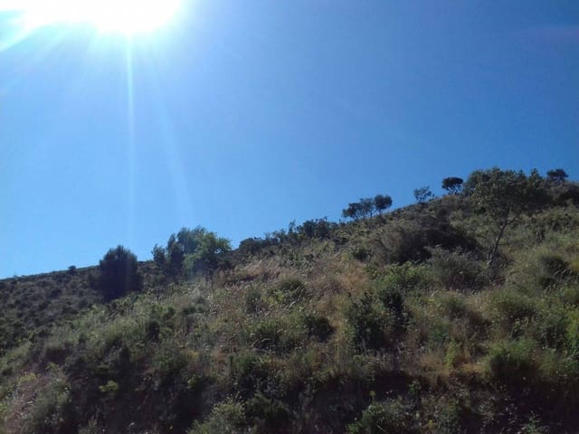 Area Edificabile in vendita in Totalán - 33.000 € (Rif: 10179903)