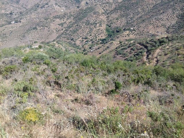 Area Edificabile in vendita in Totalán - 33.000 € (Rif: 10179903)