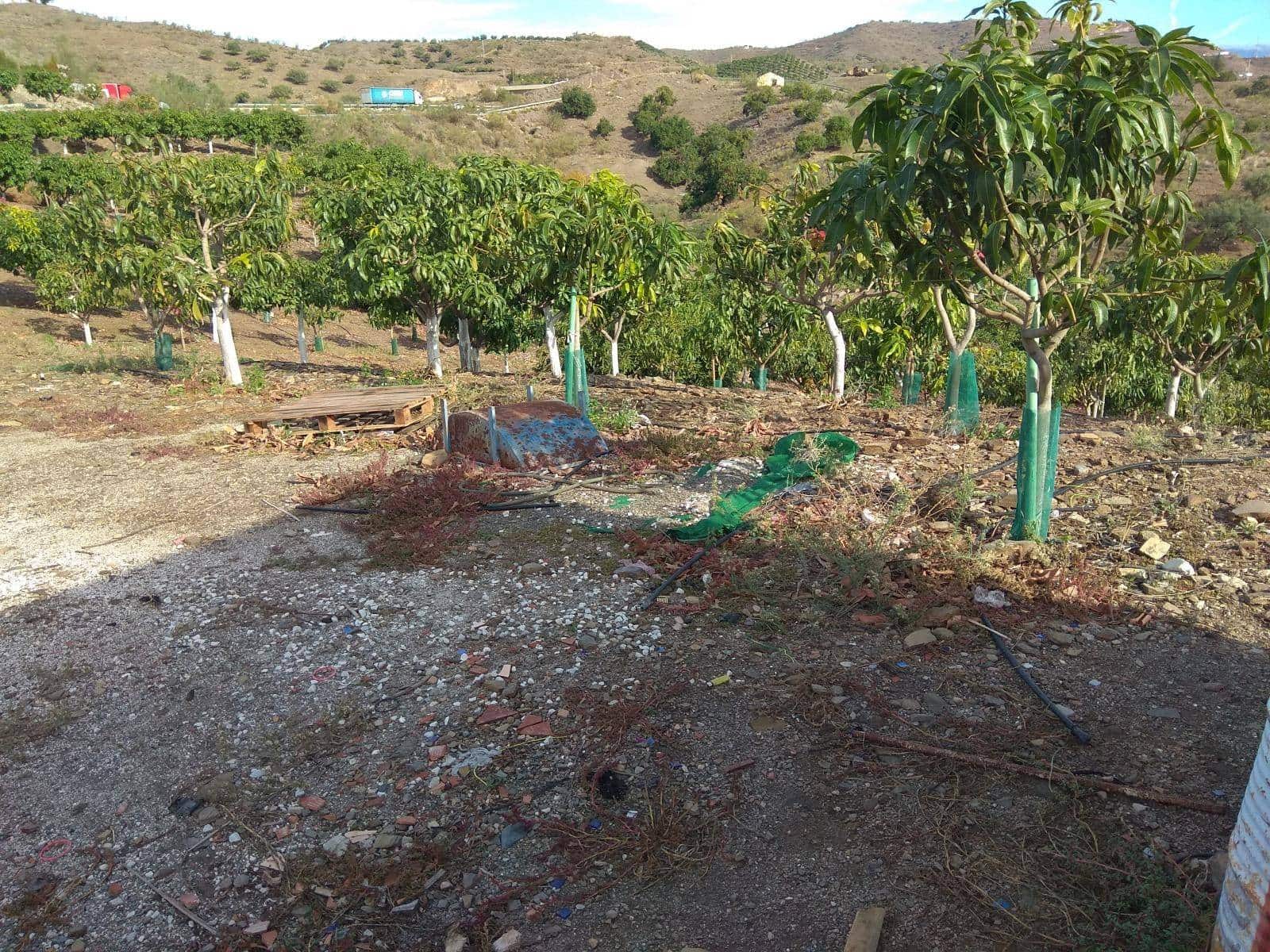 3 sypialnia Finka/Dom wiejski na sprzedaż w Velez-Malaga z basenem - 585 000 € (Ref: 5307886)