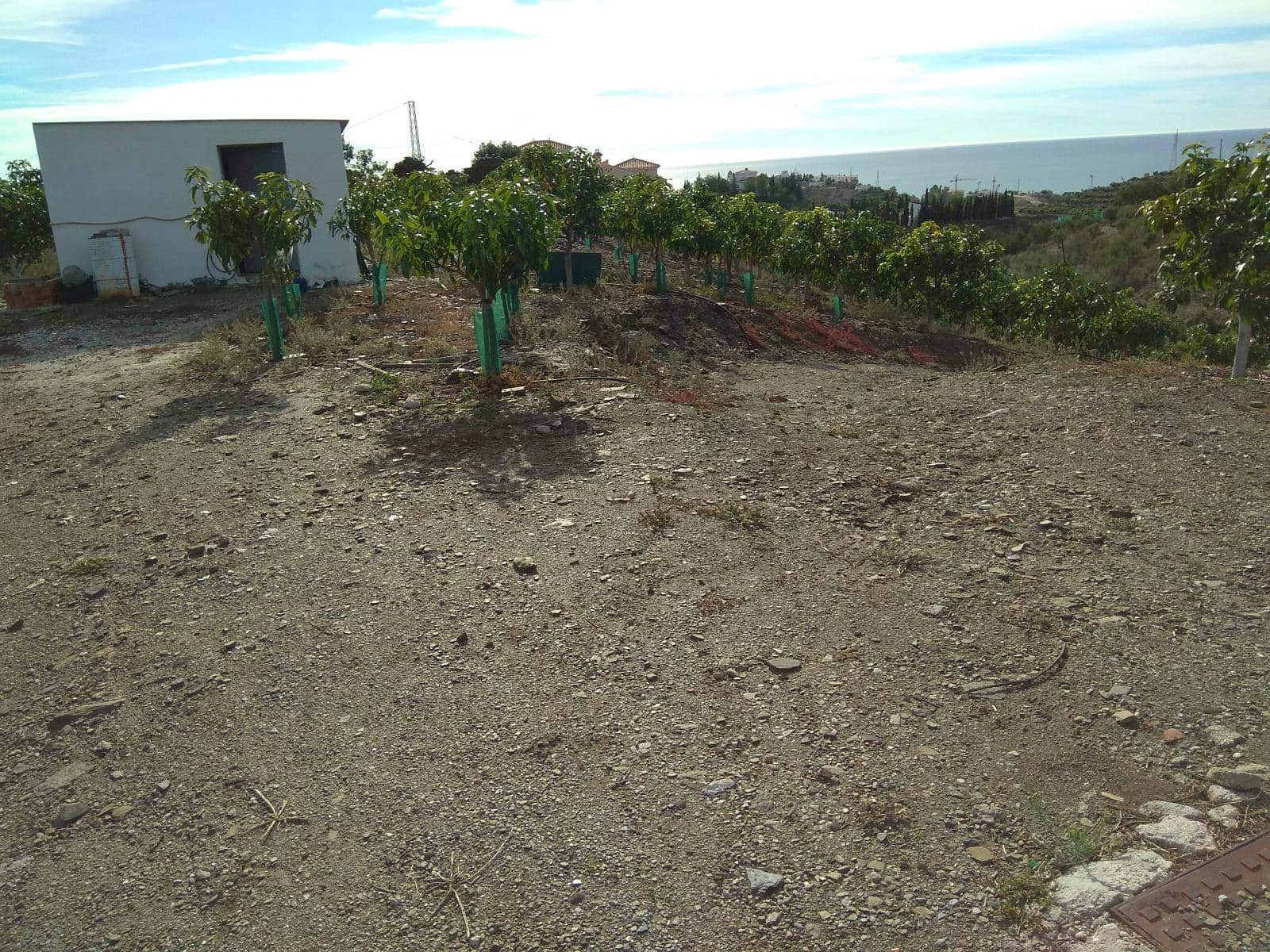 3 sypialnia Finka/Dom wiejski na sprzedaż w Velez-Malaga z basenem - 585 000 € (Ref: 5307886)