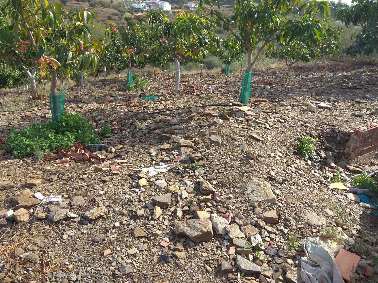 3 sypialnia Finka/Dom wiejski na sprzedaż w Velez-Malaga z basenem - 585 000 € (Ref: 5307886)