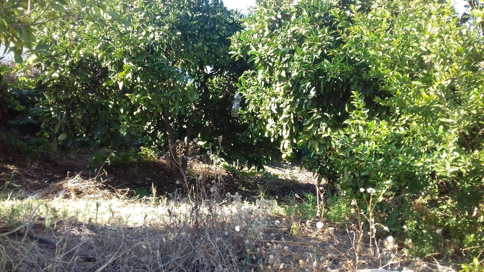 3 slaapkamer Huis te koop in Rincon de la Victoria - € 399.900 (Ref: 5307892)