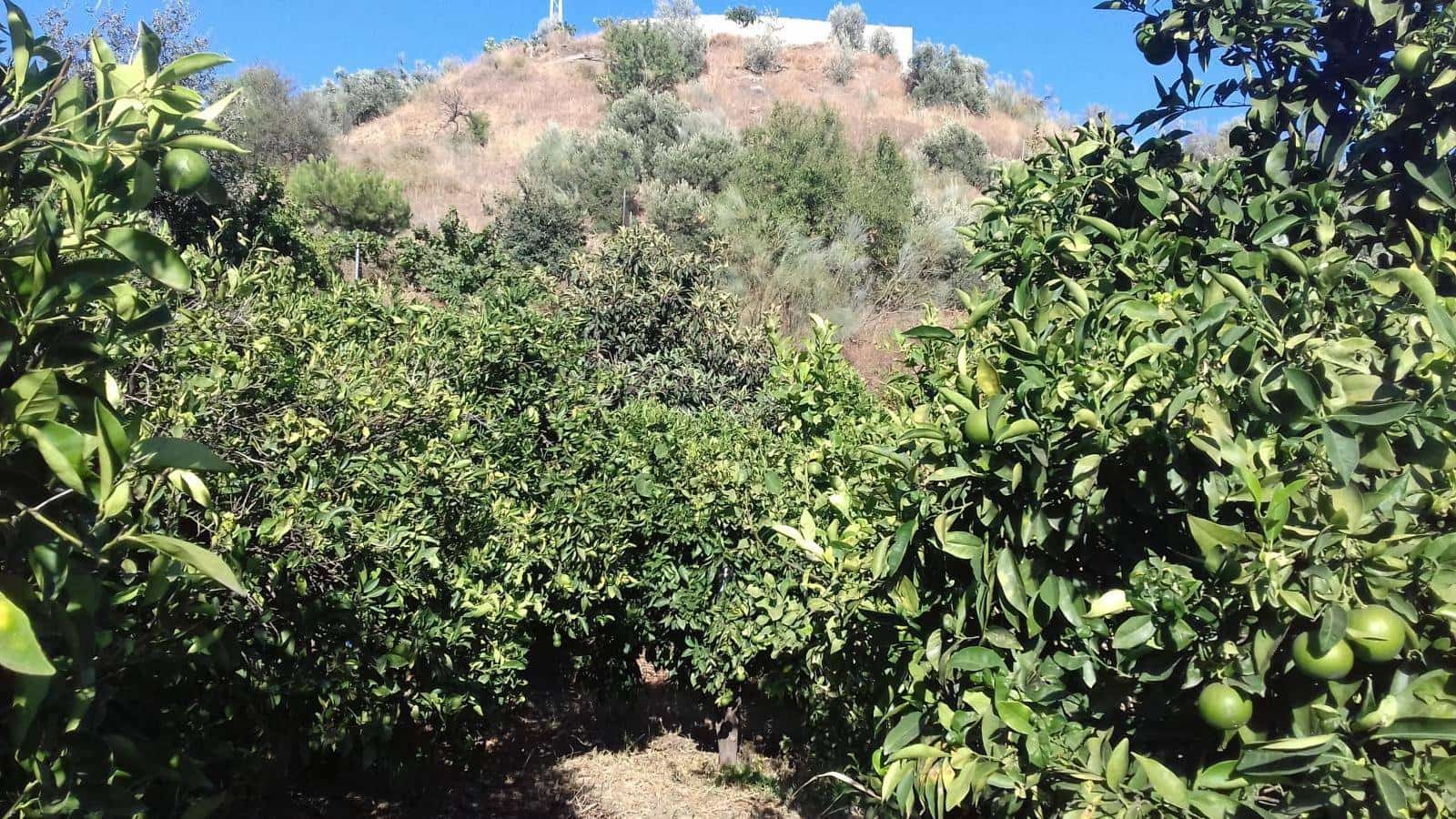 3 slaapkamer Huis te koop in Rincon de la Victoria - € 399.900 (Ref: 5307892)