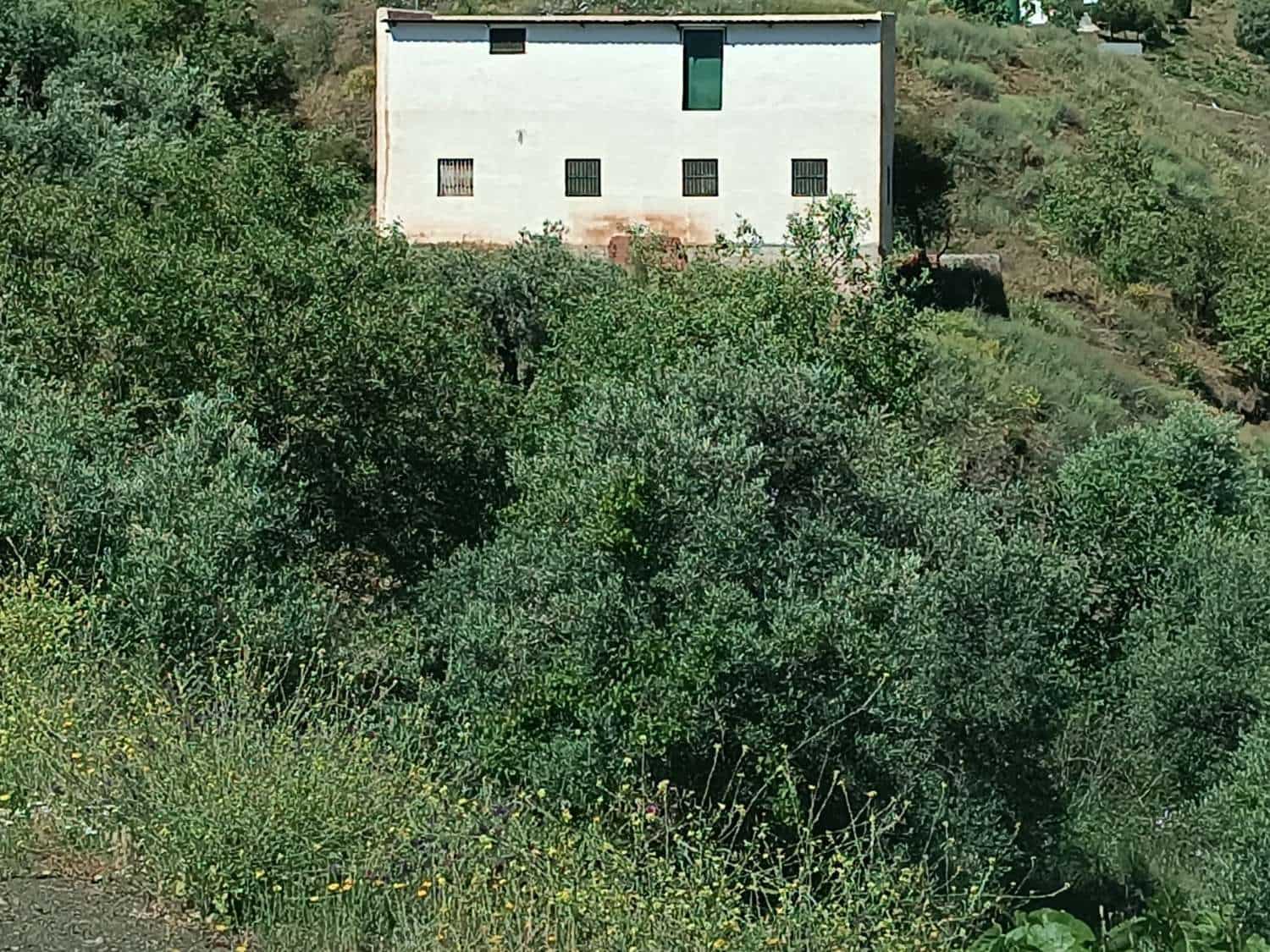 3 soverom Finca/Herregård til salgs i Almachar - € 99 000 (Ref: 8698561)