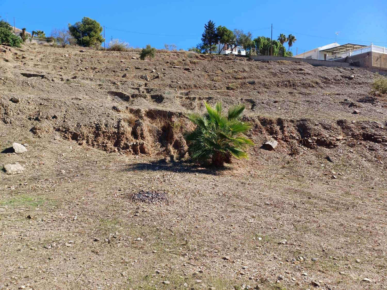 Tontti myytävänä paikassa Benajarafe - 90 000 € (Ref: 8698568)