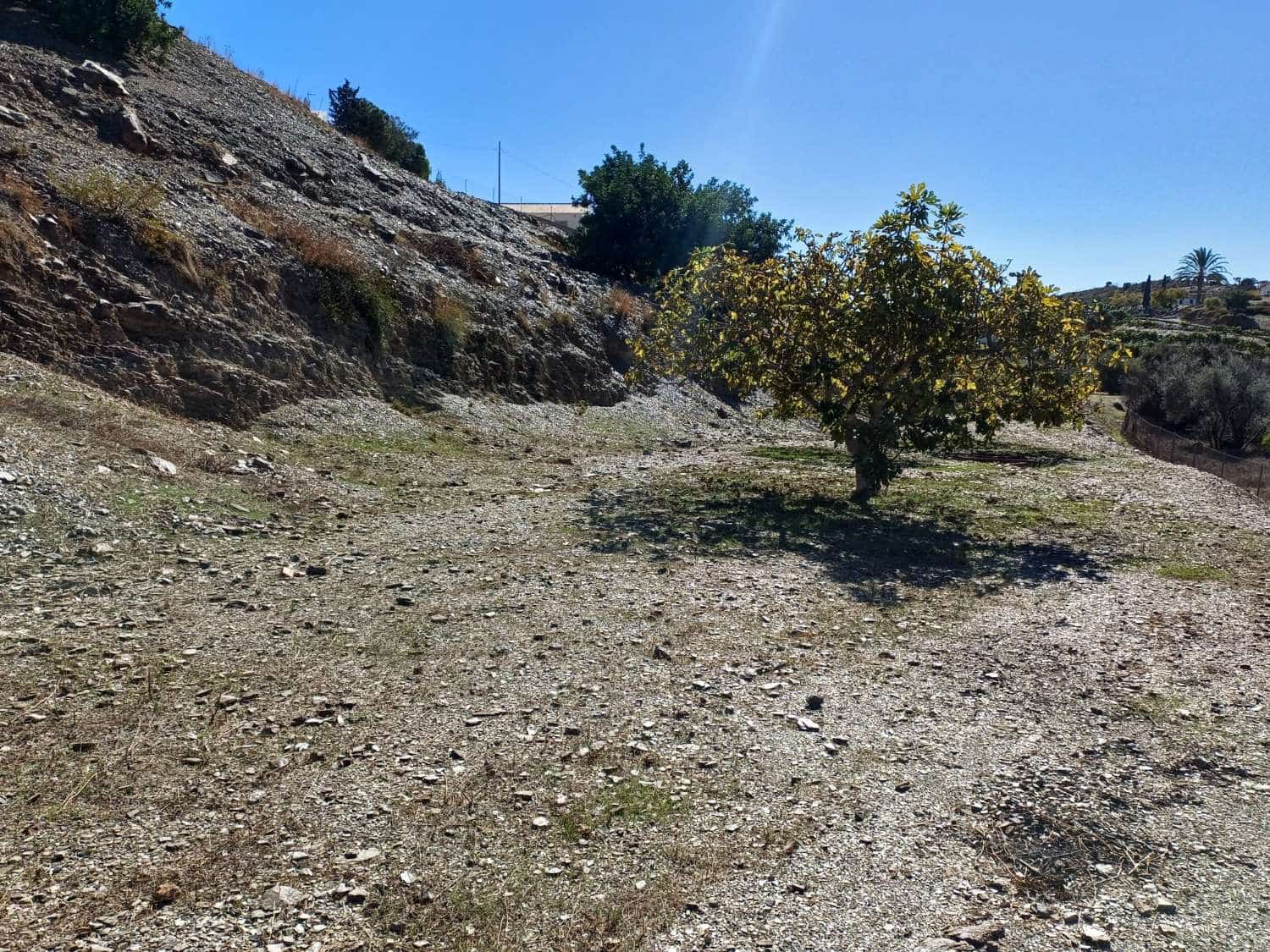 Tontti myytävänä paikassa Benajarafe - 90 000 € (Ref: 8698568)