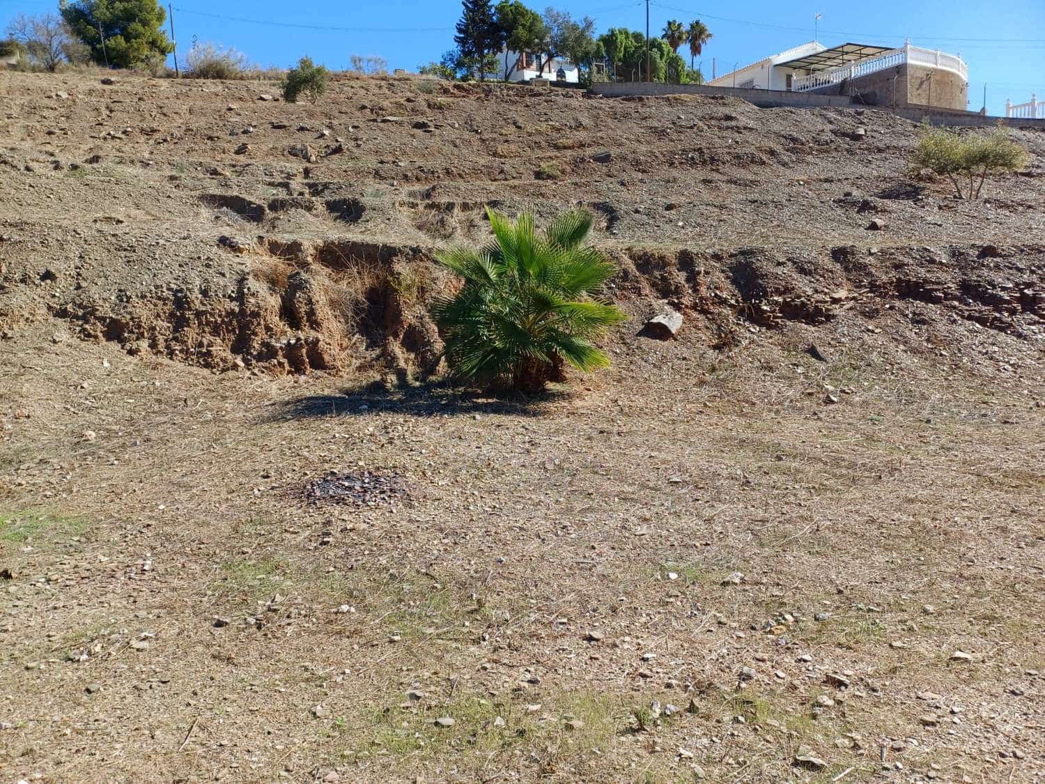 Tontti myytävänä paikassa Benajarafe - 90 000 € (Ref: 8698568)