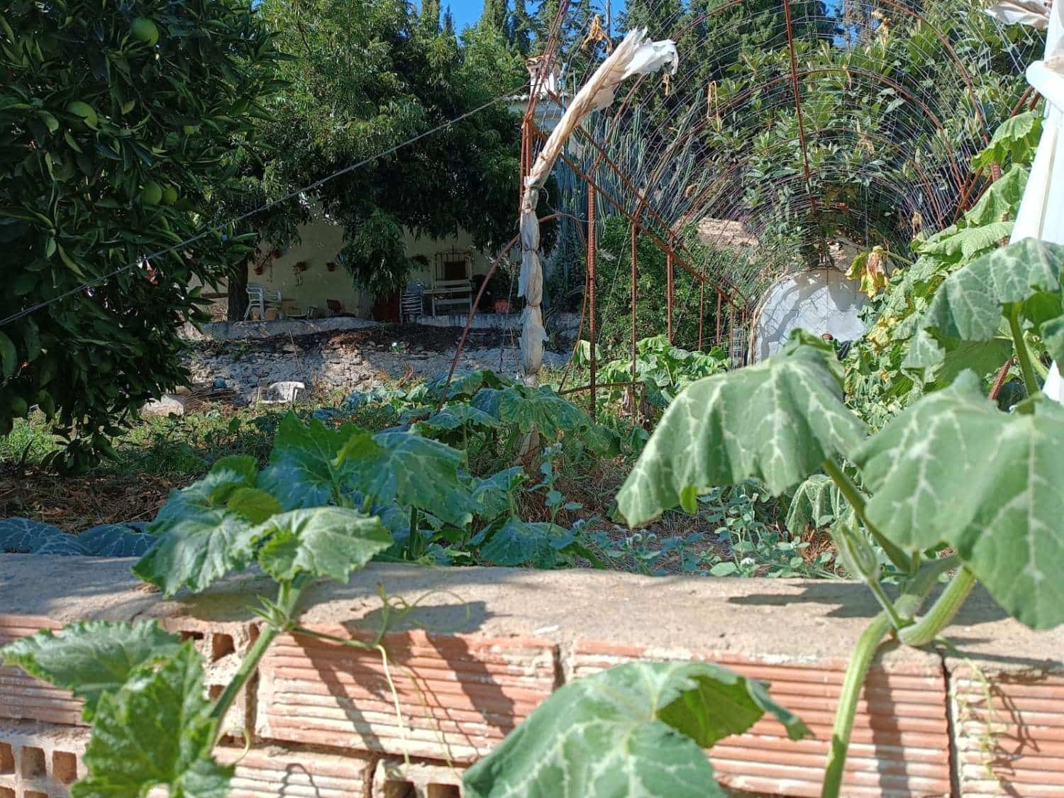 5 slaapkamer Huis te koop in Totalan - € 315.000 (Ref: 8698571)