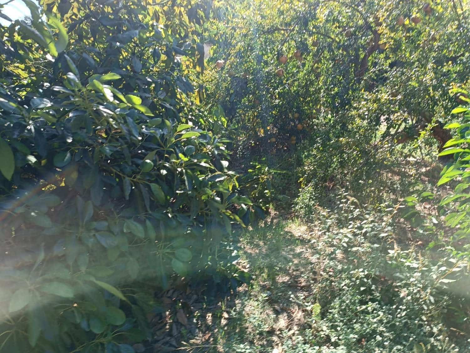 5 slaapkamer Huis te koop in Totalan - € 315.000 (Ref: 8698571)