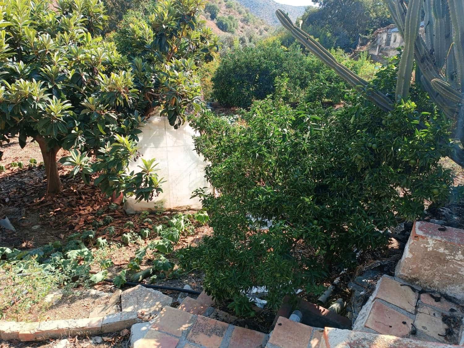 5 slaapkamer Huis te koop in Totalan - € 315.000 (Ref: 8698571)