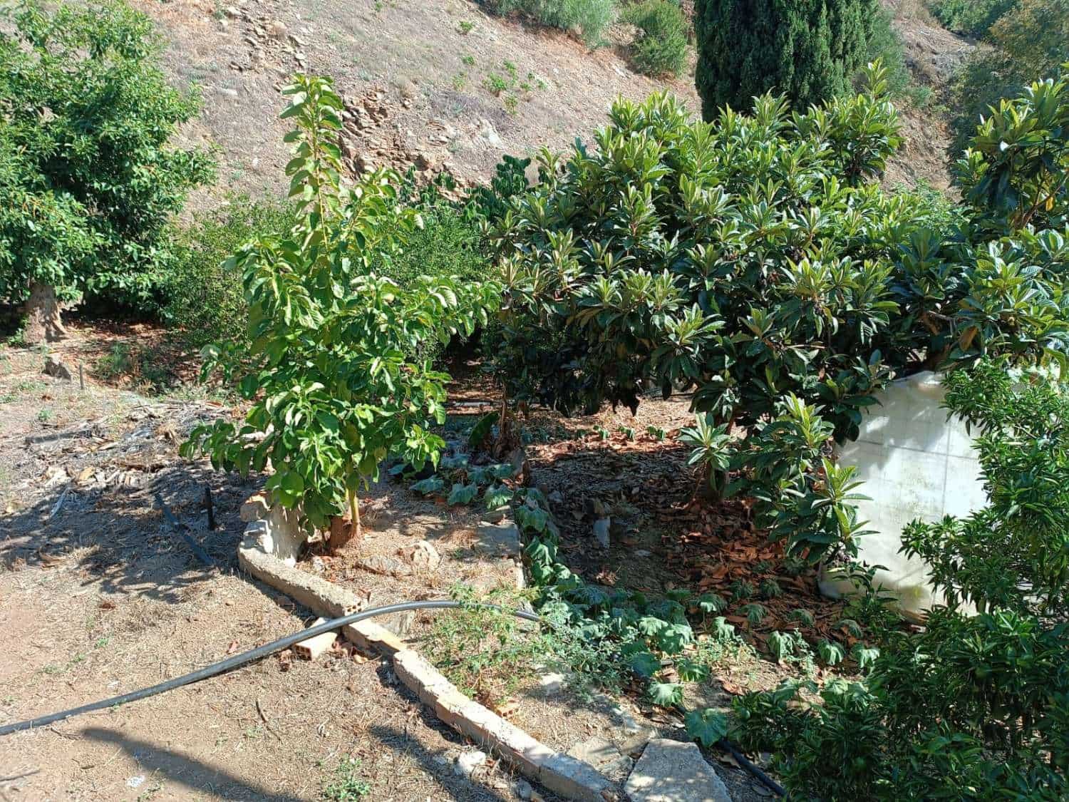 5 slaapkamer Huis te koop in Totalan - € 315.000 (Ref: 8698571)